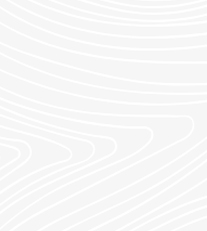 topographyBg white